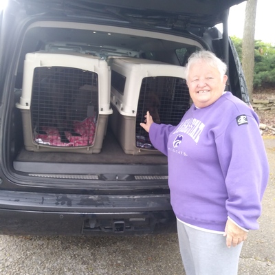 Volunteer transport drivers also drive the homeless pets directly to rescue organizations.